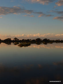 Lever de soleil au Pantanal - Brésil
